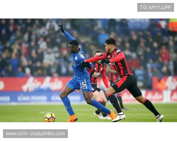 英超中下游球队表现起伏 伯恩茅斯埃弗顿争中游